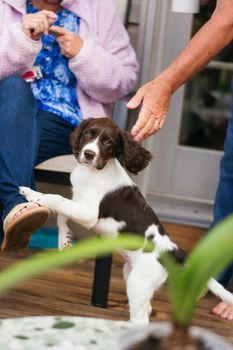 meaghan-cafferty-LUlUUux0nPg-unsplash