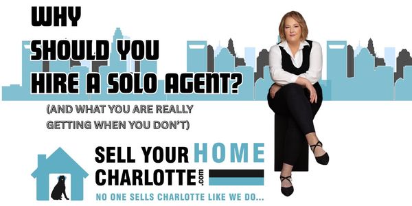 Why You Should Hire a Solo Agent (and …