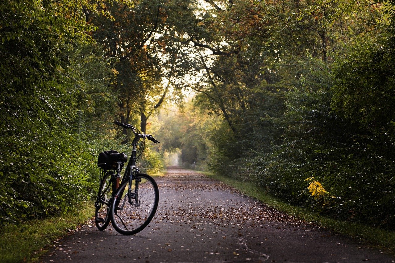 Bike break on the Charlotte trails