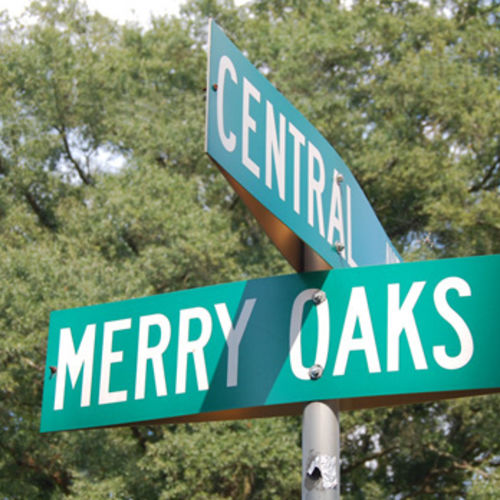 Merry Oaks & Commonwealth Park (28205) — 2025 Guide