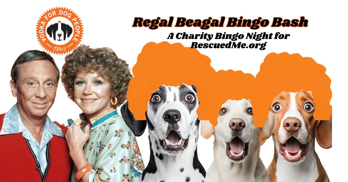 bingo bash