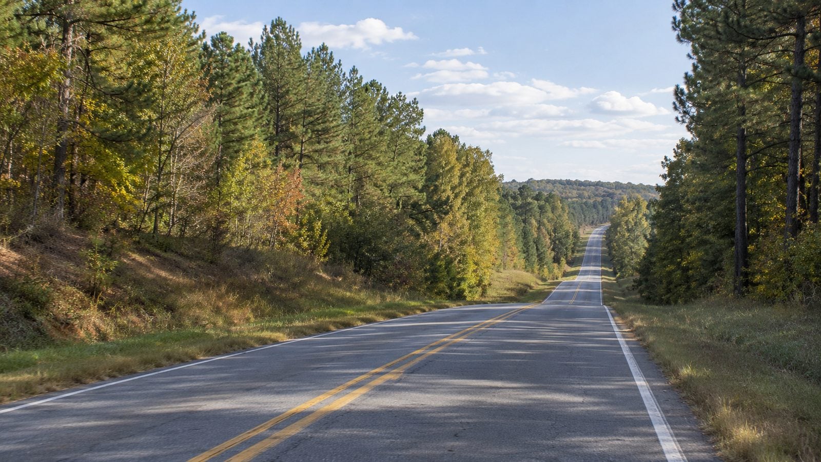 Two-lane road through pine forest near the North Carolina and South Carolina state line