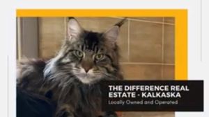 Video thumbnail for youtube video 9zrj3d6ruvk