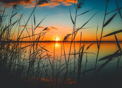 lakeleelanau