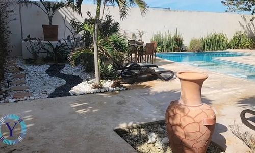 Incredible Beachfront Condo