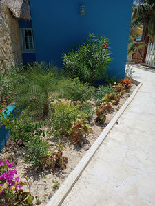 IMG_20230808_111424170_HDR