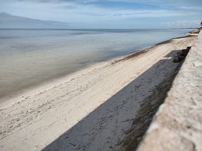 IMG_20241230_110559655_HDR