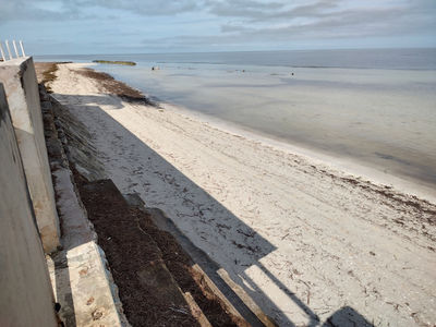 IMG_20241230_110703096_HDR