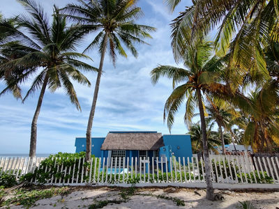 IMG_20241230_111044600_HDR