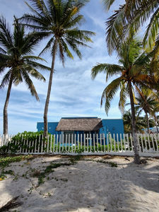 IMG_20241230_111049596_HDR