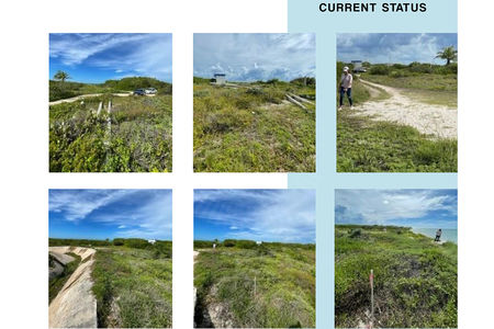 El Cielo Moodboard (2).cdr