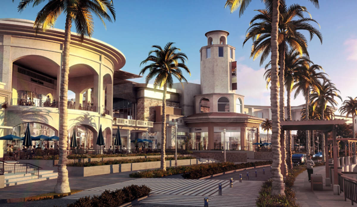 Santa Gertrudis Copo Info