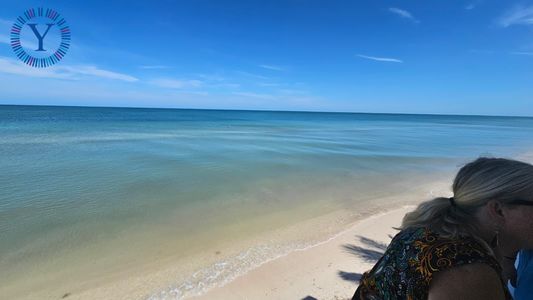 14337bfd-177c-4be5-ba6f-56c165f38c42