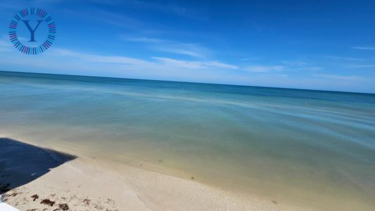 8e69a3d3-a87f-4d40-bda9-562d2ae79511