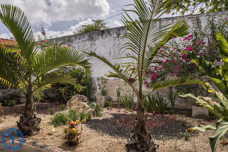 CasaOrquídea.Watermark.24