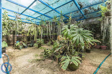 CasaOrquídea.Watermark.31