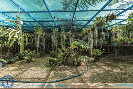 CasaOrquídea.Watermark.32