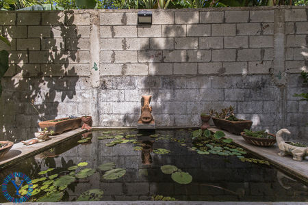 CasaOrquídea.Watermark.37