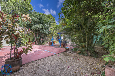 CasaOrquídea.Watermark.44