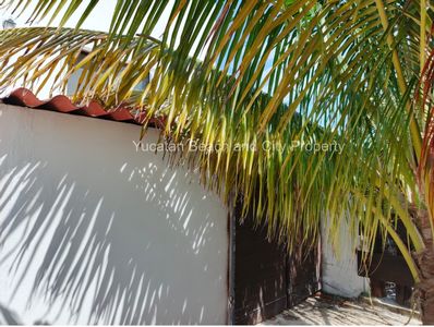 IMG-20250211-WA0016_InPixio