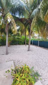 IMG-20250219-WA0009new