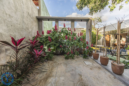 CasaNala.Watermark.28