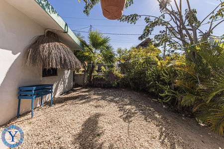 CasaOctopus.Watermark.10