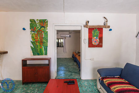 CasaOctopus.Watermark.18