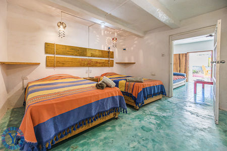 CasaOctopus.Watermark.20