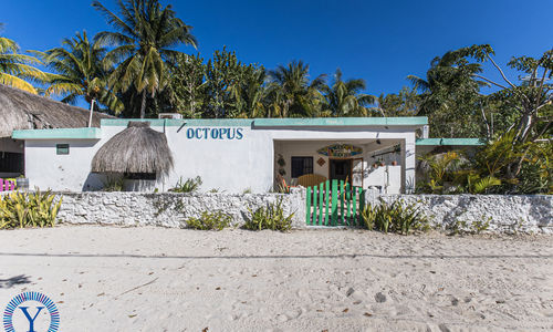 Casa Octopus, A Turnkey Investment in San Crisanto!