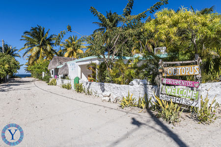 CasaOctopus.Watermark.34