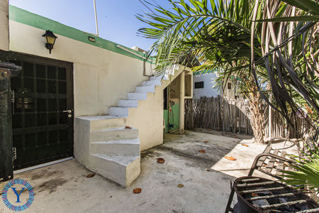 CasaOctopus.Watermark.35