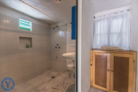 CasaOctopus.Watermark.5