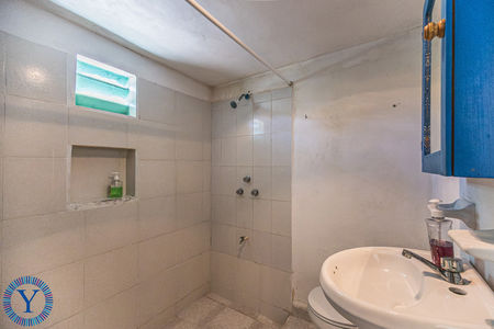 CasaOctopus.Watermark.6