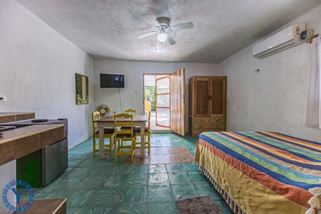 CasaOctopus.Watermark.7