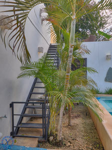 Casa.Reforma.Watermark.-25