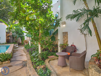 Casa.Reforma.Watermark.-31