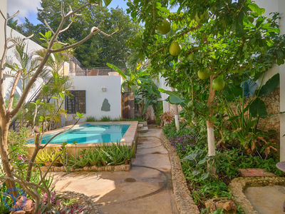 Casa.Reforma.Watermark.-32