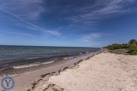 CondoLasPalmas.Watermark.16