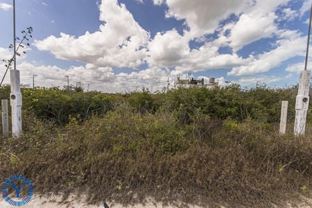 Lote.Chicxulub.Watermark2