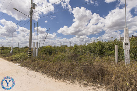 Lote.Chicxulub.Watermark4