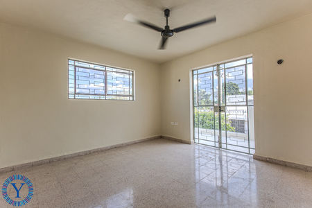 CasaWaspaWatermark.37