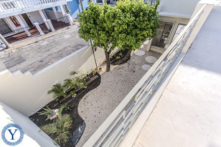 CasaWaspaWatermark.39