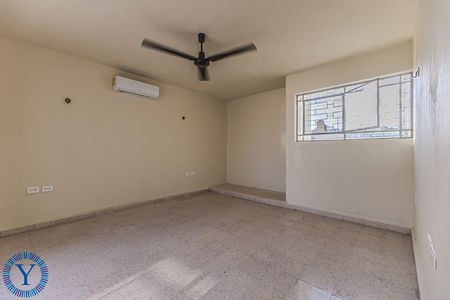 CasaWaspaWatermark.45