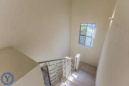 CasaWaspaWatermark.48