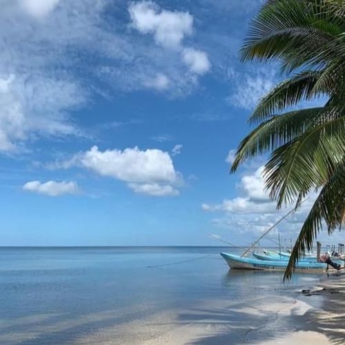 Beyond the City: Parks, Beaches & Day Trips That Make Life in Mérida Extraordinary