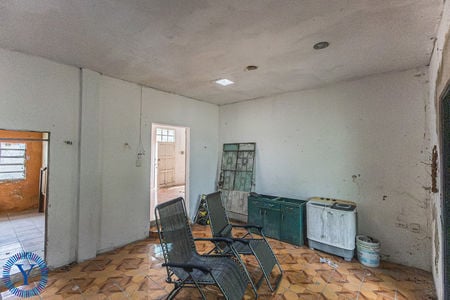 Casa.Mango.10