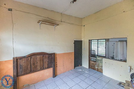 Casa.Mango.12