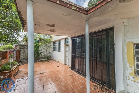 Casa.Mango.2