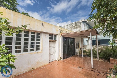 Casa.Mango.3